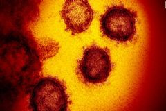 Pandemia de coronavírus faz seu 15º registro de morte de pacientes de Botucatu