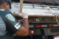 Policiais do TOR apreendem em Pardinho 450 mil maços de cigarros contrabandeados do Paraguai