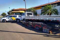 Carga com 800 kg de maconha em fundo falso de caminhão é apreendida em Santa Cruz do Rio Pardo