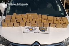 Quantidade de drogas apreendidas pela Polícia Rodoviária na região é recorde dos últimos 20 anos