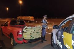 Polícia Rodoviária apreende maconha e skank no fundo falso de caminhonete em rodovia da região
