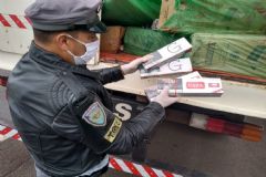 Policiais do TOR realizam apreensão de centenas de maços de cigarros contrabando do Paraguai 