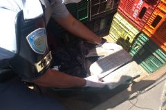 Policiais do TOR apreendem 120 kg de maconha entre caixas de frutas no Município de Bofete