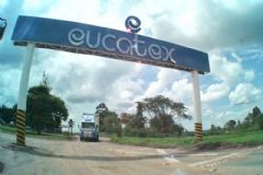 Empresa Eucatex se manifesta sobre acidente que resultou em morte numa plantação de eucalipto