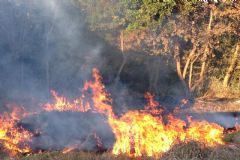 Defesa Civil e Corpo de Bombeiros pedem atenção à população para evitar queimadas