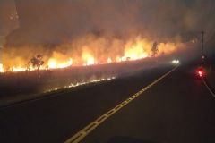 Corpo de Bombeiros combate incêndio que destruiu grande área de mata nativa na região da Embraer