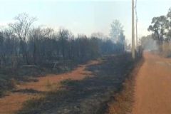 Incêndio de origem desconhecida destruiu uma grande área nativa na zona rural de Botucatu