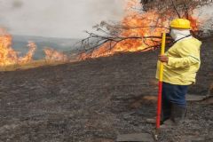 Em menos de 24 horas, novo incêndio de grandes proporções é registrado na região da Serra de Botucatu