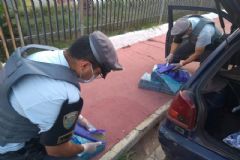 Polícia Rodoviária apreende mais de 108 kg de maconha em operação no pedágio de Itatinga
