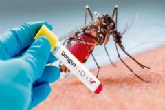 Vigilância em Saúde diz que com o aumento das chuvas, população deve se prevenir contra a dengue