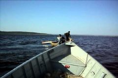 Pescadores profissionais retornam às atividades após encerramento do período da piracema