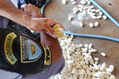 Boliviano é preso transportando batatas recheadas com pasta base de cocaína em Cidade da região