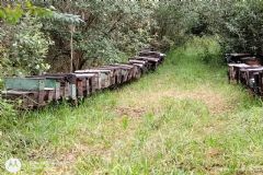 GIAR identifica Invasor responsável pela invasão e implantação de apiários sem autorização em Itatinga