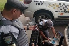 Equipe do TOR intercepta automóvel com produtos contrabandeados em rodovia que corta a região