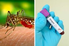 Mutirão de ação de bloqueio contra a dengue neste domingo será em bairros da região Norte da Cidade